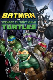 Batman vs Teenage Mutant Ninja Turtles